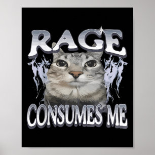 Rage Consumes Me Funny Gekke Staring Cat Meme Vrou Poster