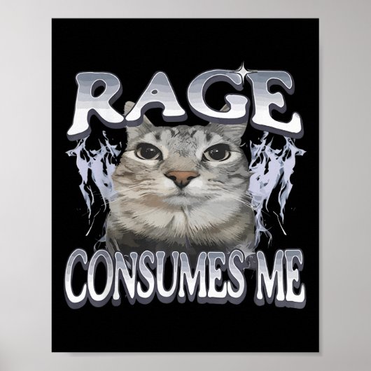 Rage Consumes Me Funny Gekke Staring Cat Meme Vrou Poster (Voorkant)