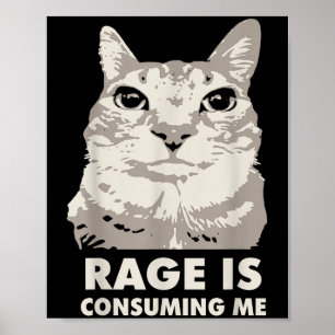 Rage is het consumeren van me Angry Cat Meme sarca Poster