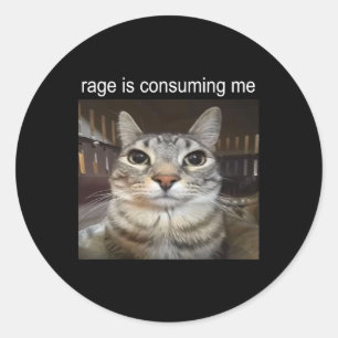Rage is het consumeren van me Gekke staren cat mem Ronde Sticker