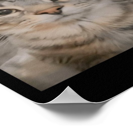 Rage is het consumeren van me meme kat meme vreemd poster (Hoek)