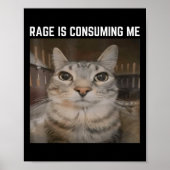 Rage is het consumeren van me meme kat meme vreemd poster (Voorkant)