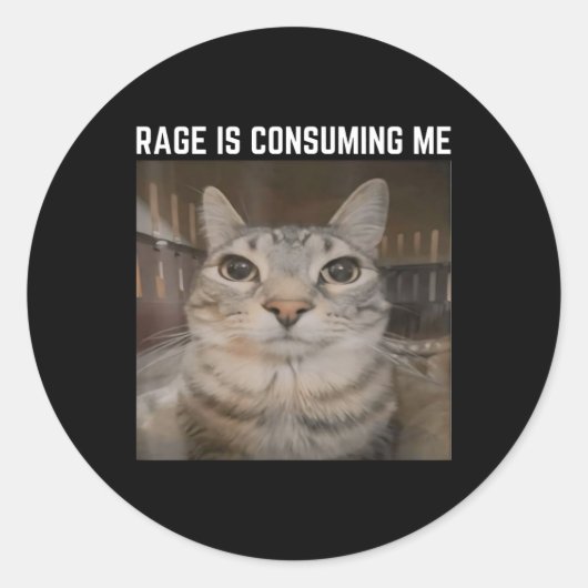 Rage is het consumeren van me meme kat meme vreemd ronde sticker (Voorkant)
