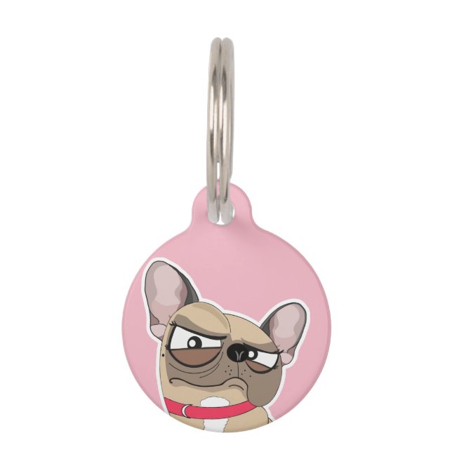 RAGEUS HUISDIERPENNING (Voorkant)