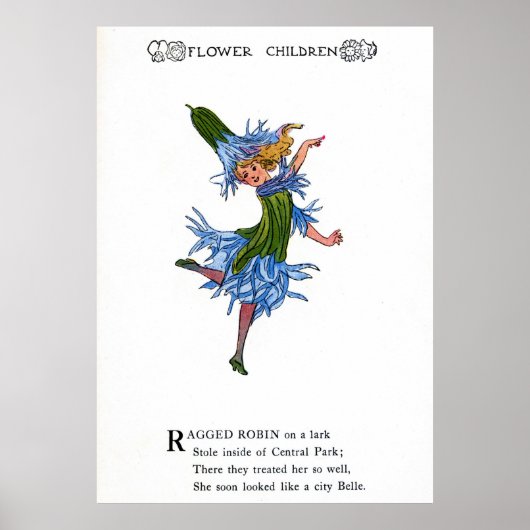 Ragged Robin Poster (Voorkant)