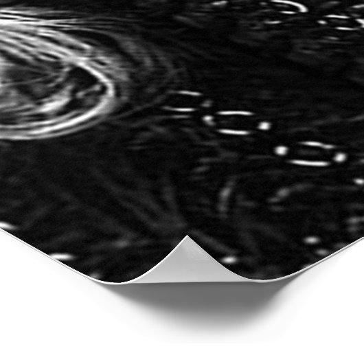 Ragnar Lothbrok Poster (Hoek)