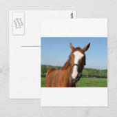 Rags naar Riches Briefkaart (Voorkant / Achterkant)
