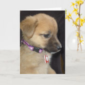 Rahja Kaart (Gele Bloem)