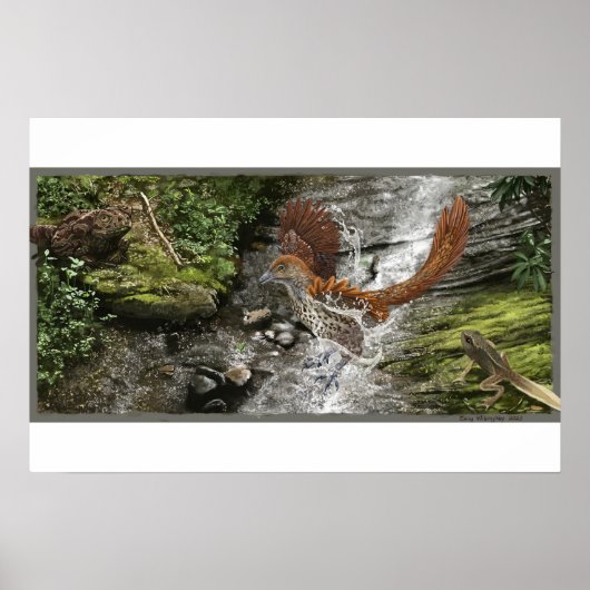 Rahonavis en Beezlebufo Print (Voorkant)