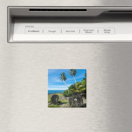 Rai Stones op Yap Island Magneet (Insitu (Vaatwasser))