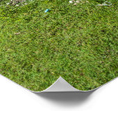 Rai Stones op Yap Island Poster (Hoek)