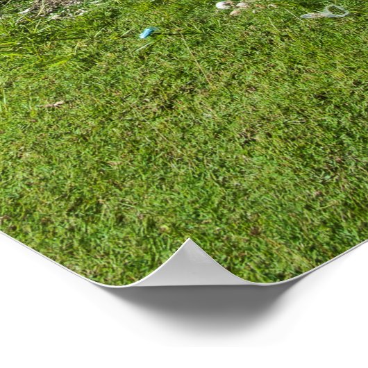 Rai Stones op Yap Island Poster (Hoek)