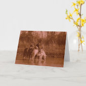 Raiders Kaart (Gele Bloem)