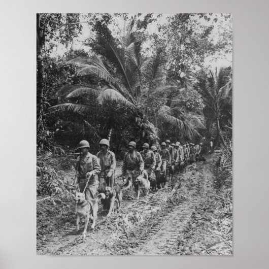 Raiders Poster (Voorkant)