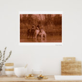 Raiders Poster (Keuken)