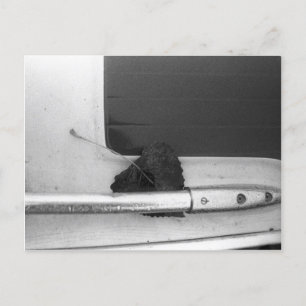 Rail Leaf en Grab Briefkaart