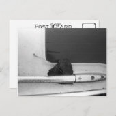 Rail Leaf en Grab Briefkaart (Voorkant / Achterkant)