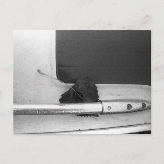 Rail Leaf en Grab Briefkaart (Voorkant)