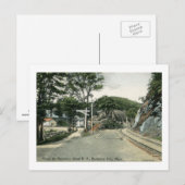 Rail Road, Berkshire Hills, Massachusetts  Briefkaart (Voorkant / Achterkant)