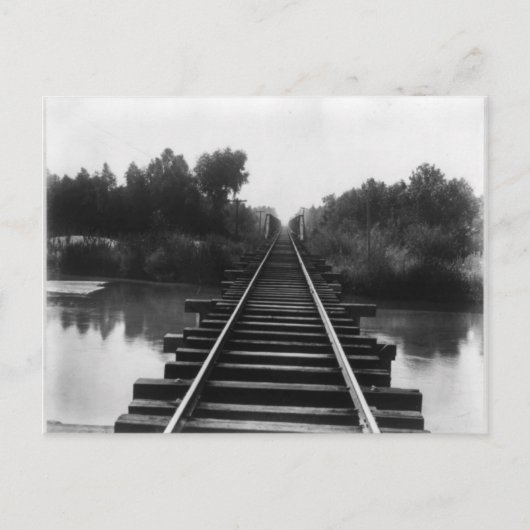 Railroad Bridge 1800's Briefkaart (Voorkant)