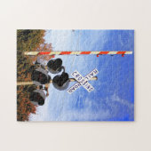 Railroad Crossing With Beautiful Blue Skies Legpuzzel (Horizontaal)