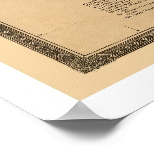 Railroad Map van Florida 1874 Poster (Hoek)