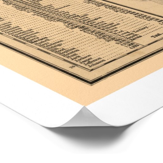 Railroad Map van Texas & Pacific 1873 Poster (Hoek)