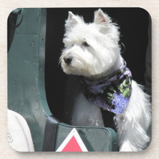 Railroad Terrier Dog Bier Onderzetter