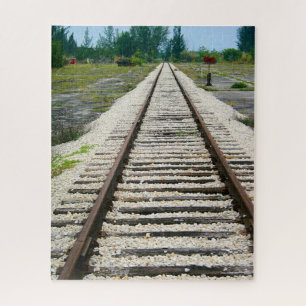 Railroad Track Historic Museum Miami Florida Legpuzzel