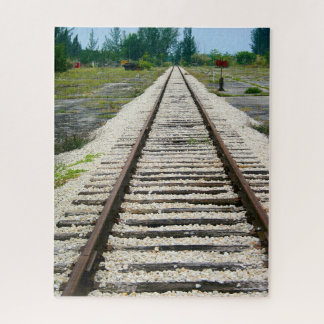 Railroad Track Historic Museum Miami Florida Legpuzzel