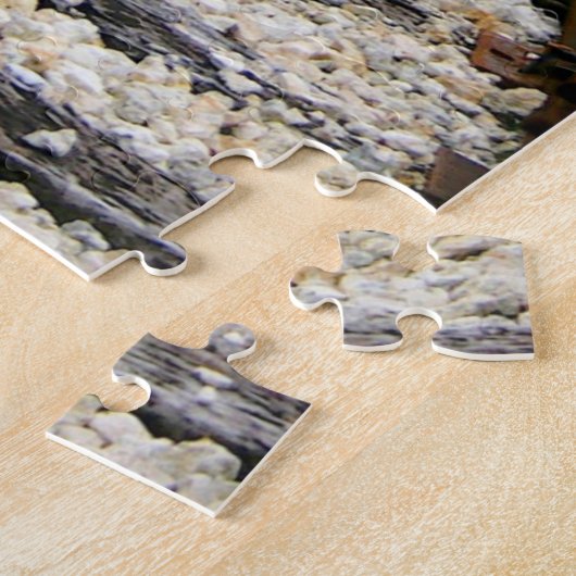 Railroad Track Historic Museum Miami Florida Legpuzzel (Zijkant)