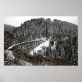 Railroad Trestle in Cloudcroft New Mexico Poster (Voorkant)