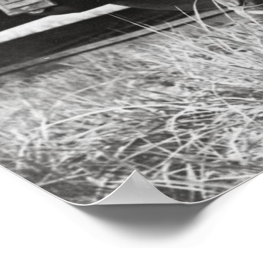 Rails Rails, 1935.  foto Poster (Hoek)