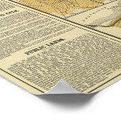 Railway, steamship lines Southern Pacific Company Poster (Hoek)