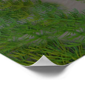 Rain Bird Art Print (Hoek)