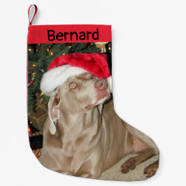Rain Cute Weimaraner Dog - Gepersonaliseerd Kleine Kerstsok