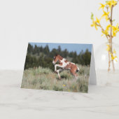 Rain Dance Wenskaart Kaart (Gele Bloem)