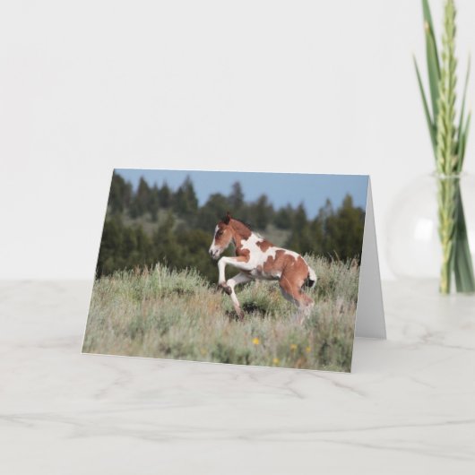 Rain Dance Wenskaart Kaart (Voorkant)