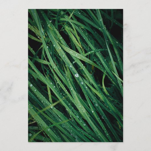 Rain drops on grass, Earth Day Card (Voorkant)