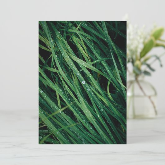 Rain drops on grass, Earth Day Card (Staand voorkant)