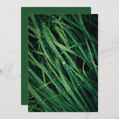 Rain drops on grass, Earth Day Card (Voorkant / Achterkant)