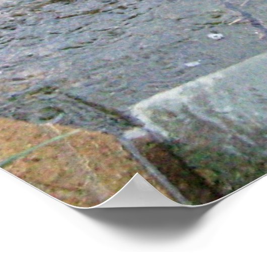 RAIN-druk Poster (Hoek)