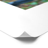 Rain Forest Great Ape Daydromen Poster (Hoek)