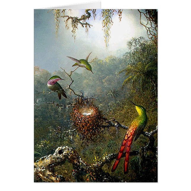Rain Forest Hummingbird Card (Voorkant)