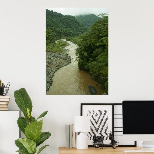 Rain Forest Poster (Thuiskantoor)