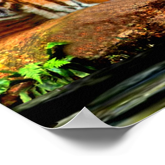 RAIN FOREST WILDLIFE POSTER (Hoek)