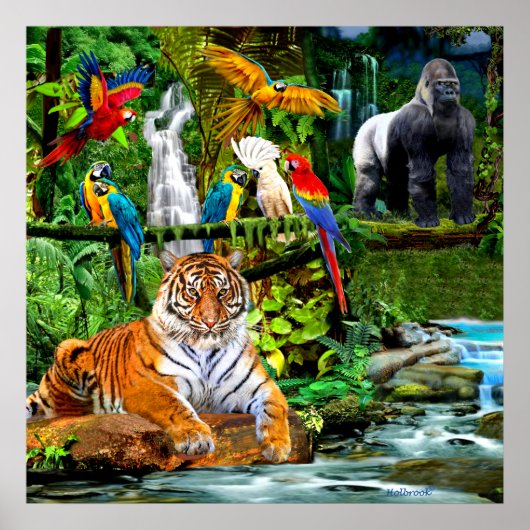 RAIN FOREST WILDLIFE POSTER (Voorkant)