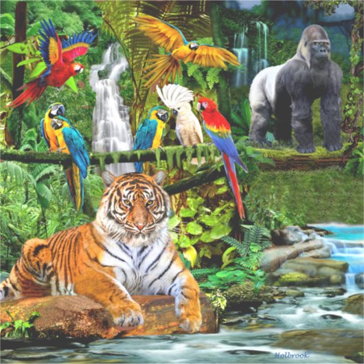 RAIN FOREST WILDLIFE STICKER (Voorkant)
