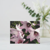 Rain Lily Briefkaart (Staand voorkant)