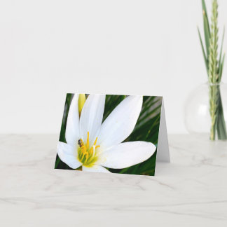 Rain Lily Bug Deux Bedankkaart